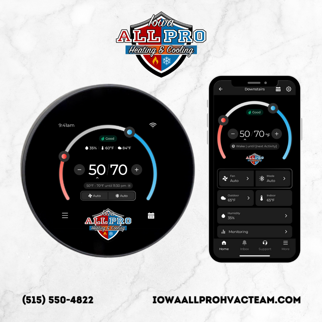 Professional Support